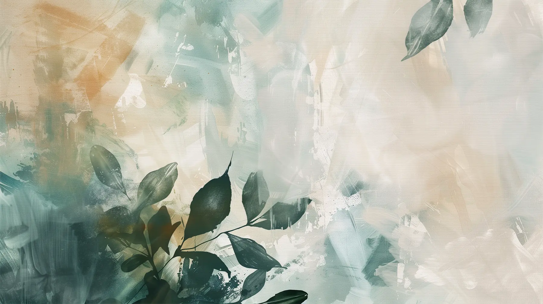 Serenity Series — Visual Concept